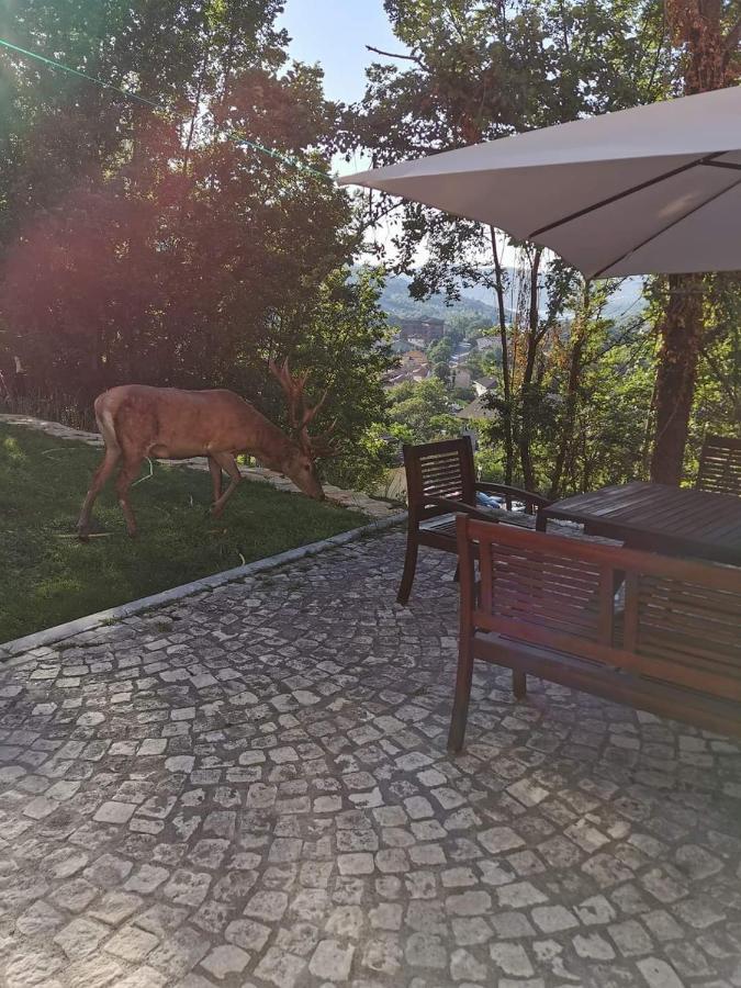 Casa Vacanze Al Castello Вилета Бареа Екстериор снимка